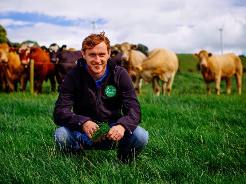 Technoretail - Irlanda: arriva la piattaforma online per la sostenibilità delle farm 
